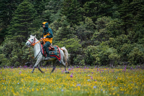 樂亦思托福首位滿分學(xué)員現(xiàn)身，他的成功秘訣究竟是什么?